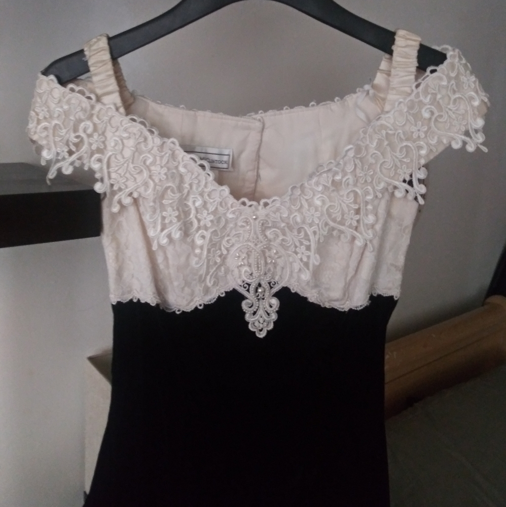 Scott McClintock velvet lace dress